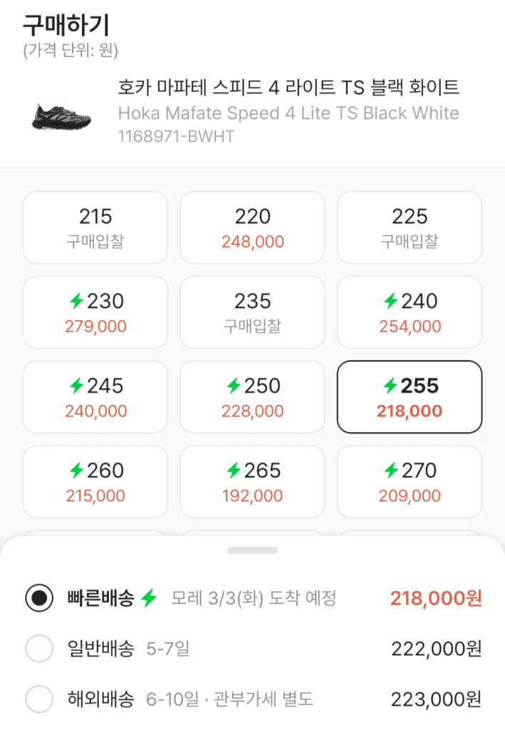 호카 마파테 스피드 4 라이트 TS 블랙 화이트 (255사이즈)팝니다.--5