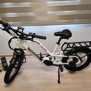 Raywing(레이윙) 캐리 전기 자전거 25Ah 삼성셀배터리판매합니다.