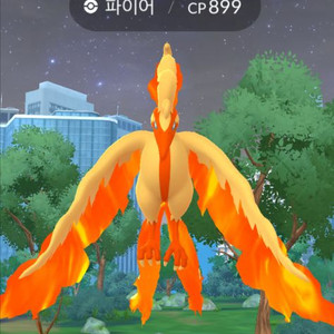 포켓몬 고 가라르 파이어 이로치팝니다 이미지