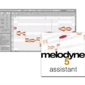 멜로다인5 어시스턴트