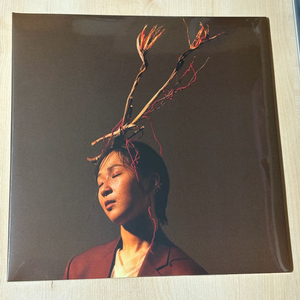 [LP] 추다혜 차지스 - 오늘밤 당산나무 아래서 이미지