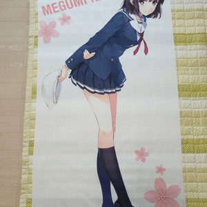 사에카노 (시원찮은 그녀를 위한 육성방법) 카토 메구미 등신대 태피스트리 팝니다 이미지
