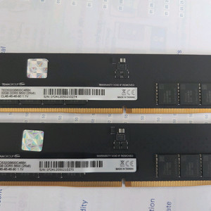 DDR5 팀그룹 5600 32G 2개