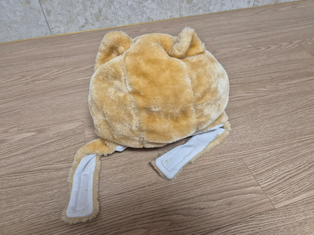 시바견 털 모자--1