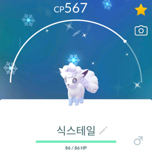 포켓몬고 이로치 알로라 식스테일 이미지