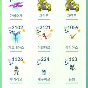 포켓몬고 이로치 팝니다 이미지