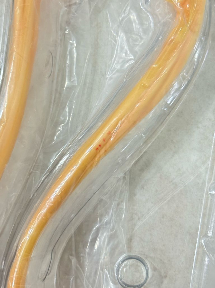 요시토쿠x페넥스 1/4스케일 미소녀 피규어 코바야시네 메이드래곤 칸나, 토르 일본인형 ver--2