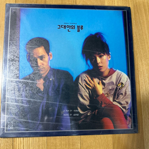 그대안의 블루 LP판