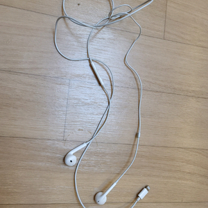 애플 라이트닝 유선이어폰