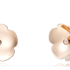 제이에스티나 아이유 반지. 귀걸이( 새제품도 있음) 실버~각각비용있음