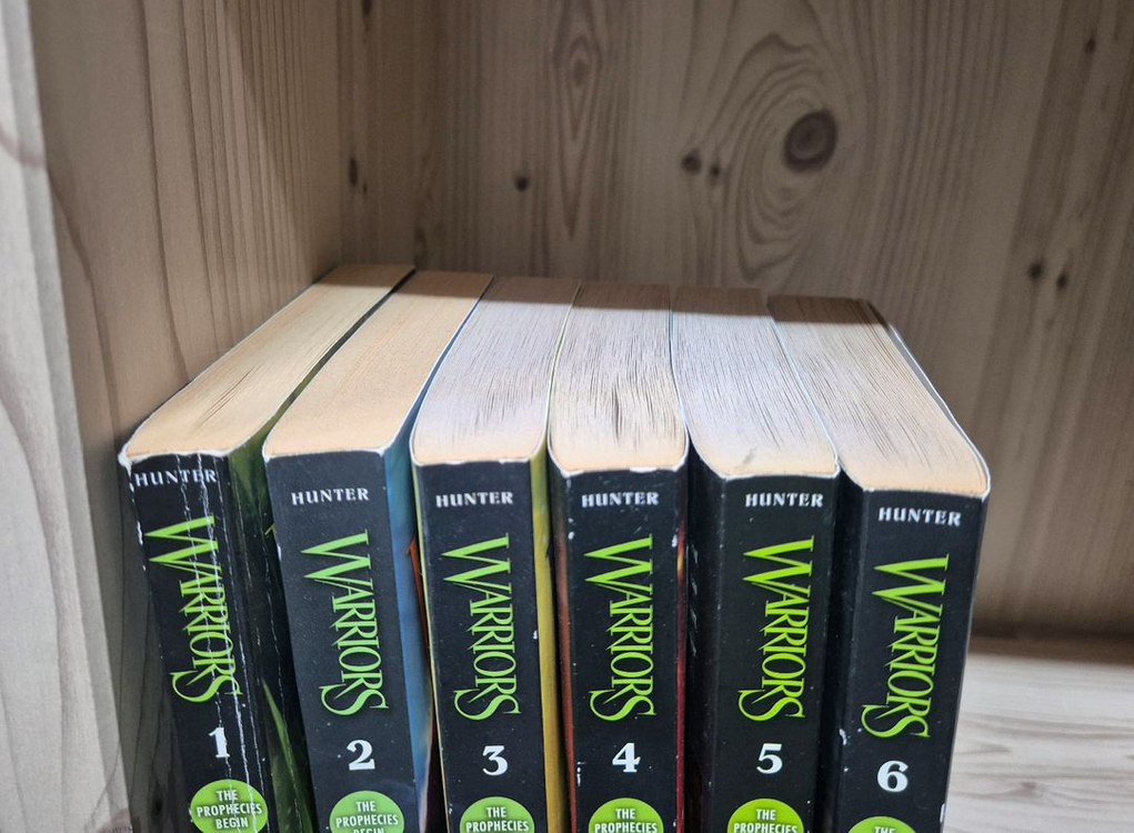 Warriors 워리어스 영어원서 6권 택포--1