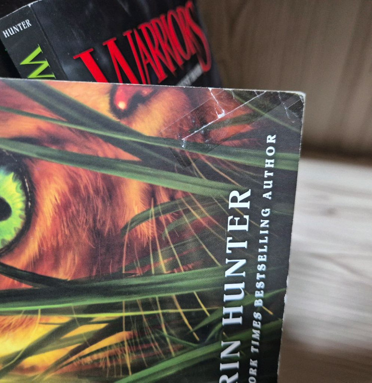 Warriors 워리어스 영어원서 6권 택포--2