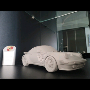 다니엘아샴 Eroded 911 Turbo