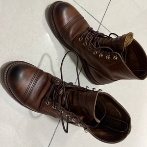 레드윙 아이언8111 250사이즈