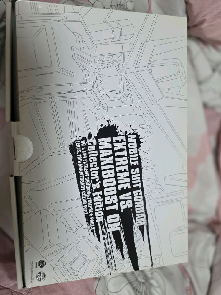 HG 익스트림 건담 F 10주년 택포 6만--1