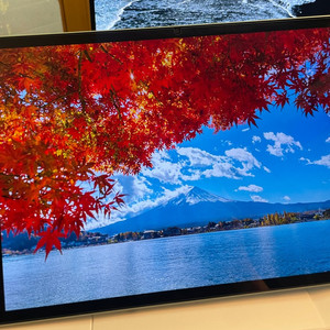 레노버 샤오신패드 프로 2025 12.7 팝니다.