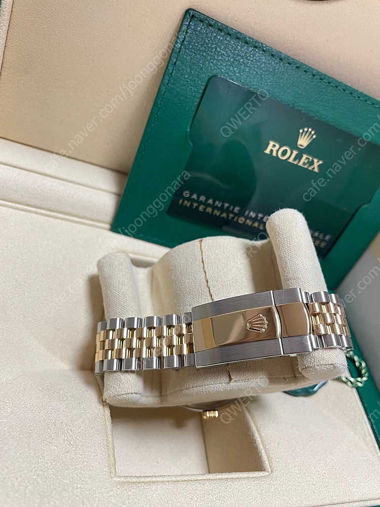 로렉스 126333 신형 데이저스트 41 화이트판 옐골--7