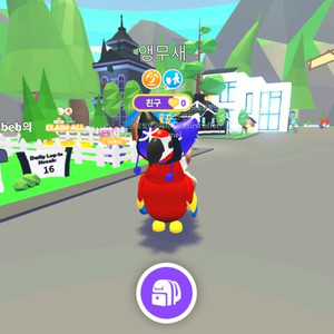 날타앵무새 팔아요(입양하세요펫)급처 이미지