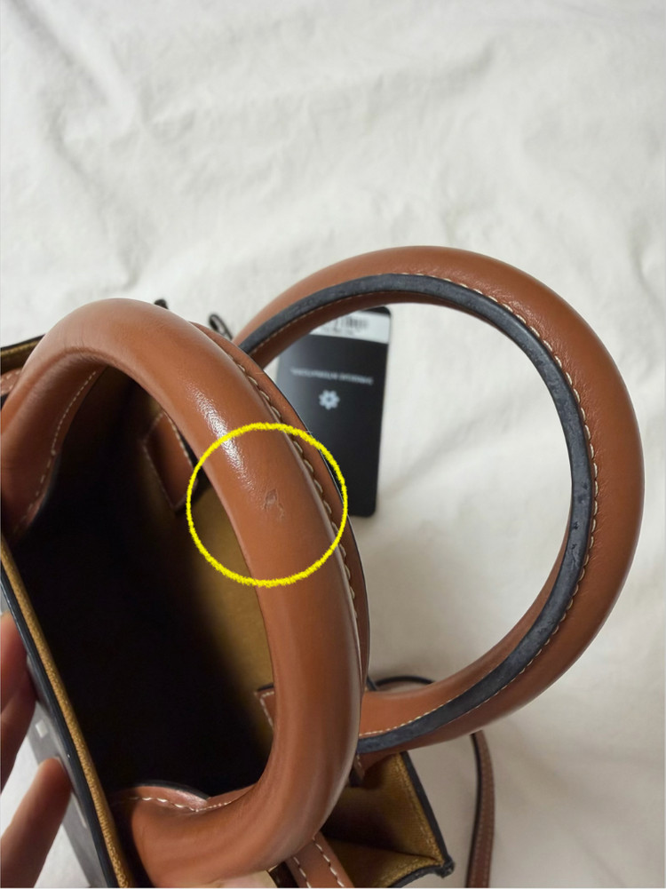 셀린느 카바스미니 탄--6