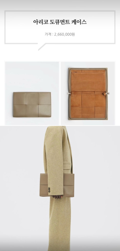 보테가베네타 아르코 도큐먼트 케이스--1