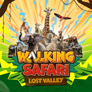 에버랜드 자유이용권 종일권 오후권