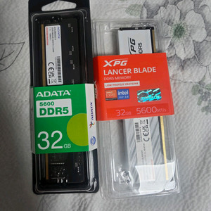 Adata DDR5 5600 메모리 32gb 단일 미개봉