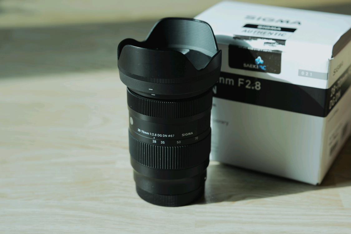 파나소닉 s9 블루, 시그마 28-70mm, 35mm, 65mm L마운트 팝니다--1