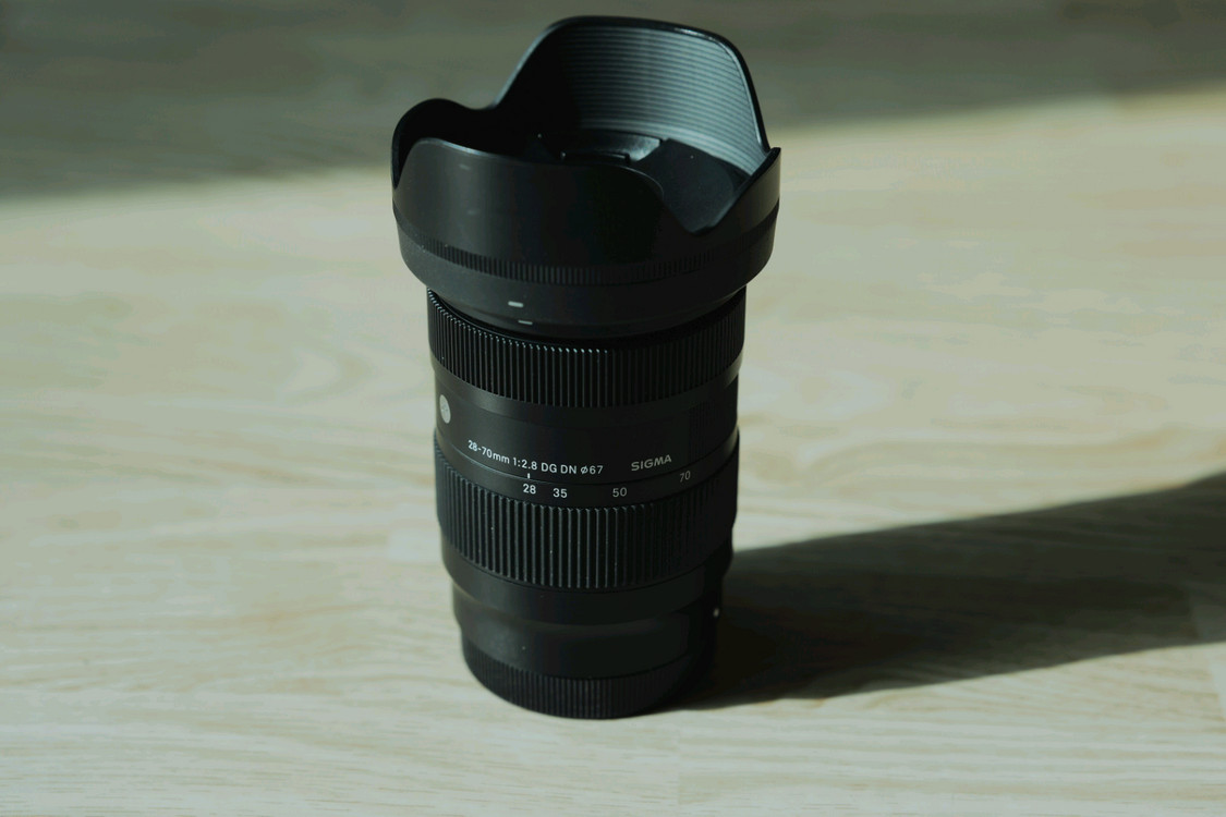 파나소닉 s9 블루, 시그마 28-70mm, 35mm, 65mm L마운트 팝니다--2