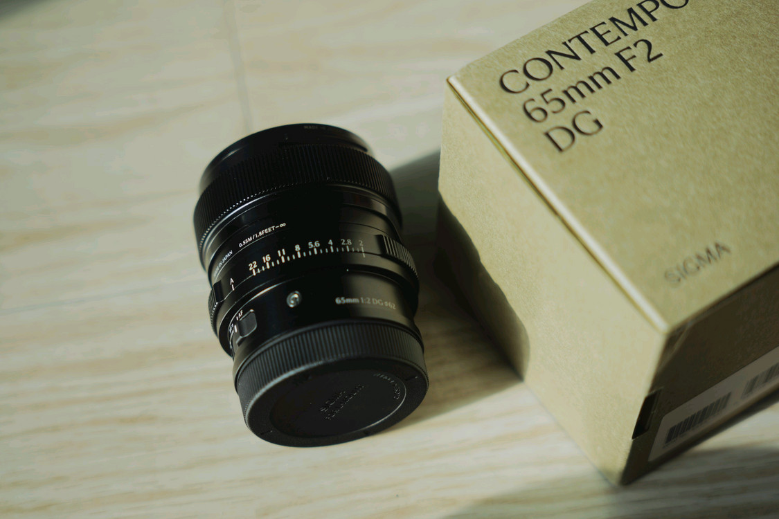 파나소닉 s9 블루, 시그마 28-70mm, 35mm, 65mm L마운트 팝니다--5