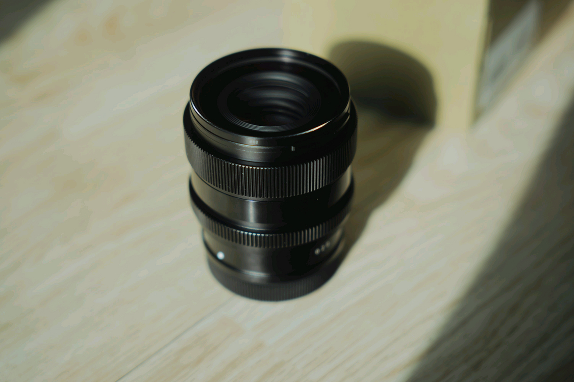 파나소닉 s9 블루, 시그마 28-70mm, 35mm, 65mm L마운트 팝니다--6