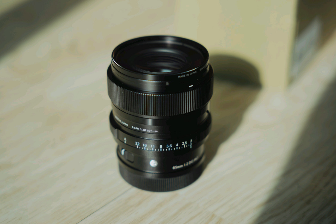 파나소닉 s9 블루, 시그마 28-70mm, 35mm, 65mm L마운트 팝니다--7
