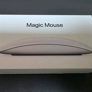 애플 매직마우스2