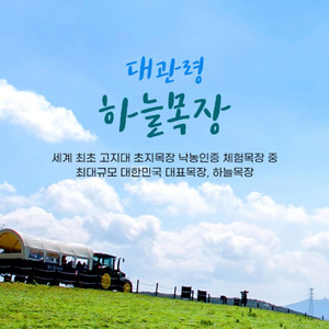 대관령 하늘목장 모바일 티켓 판매 (당일사용가능!)