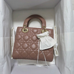 디올 레이디백 스몰 파드색상