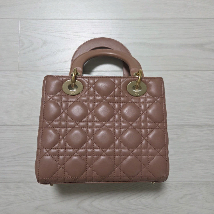 디올 레이디백 스몰 파드색상--4