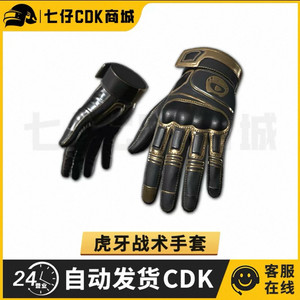 배그 스킨 코드 후야 huya 택티컬 장갑 최저가 이미지