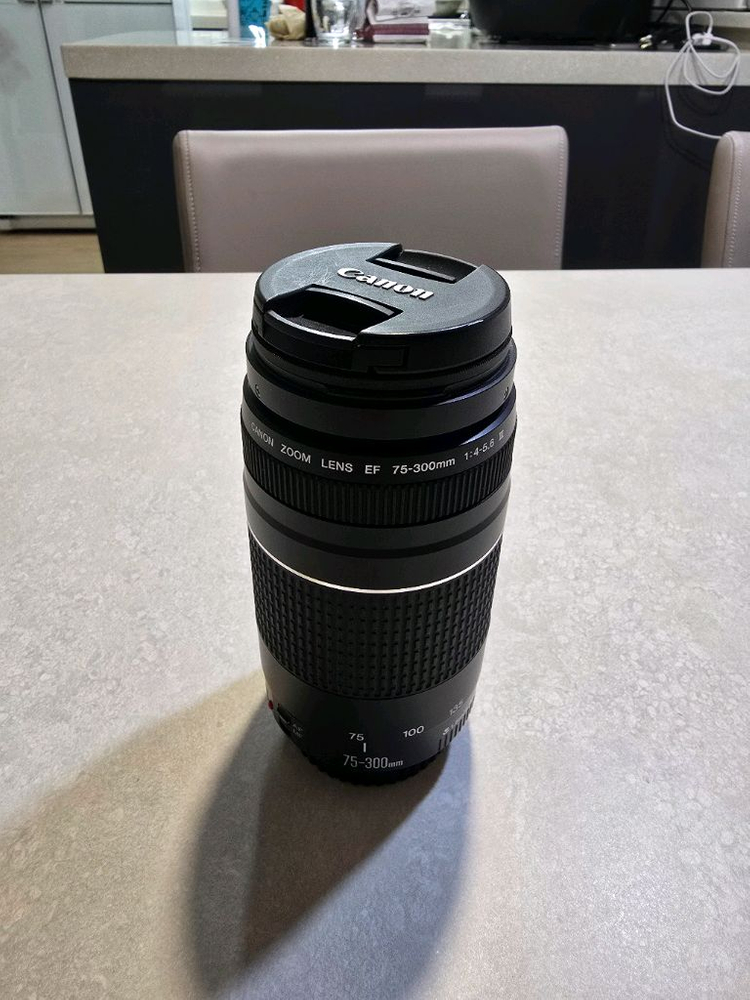 캐논 ef 75-300mm f4-5.6 III 망원렌즈 애기흑통--2