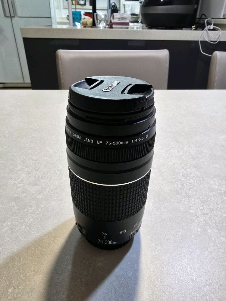 캐논 ef 75-300mm f4-5.6 III 망원렌즈 애기흑통--7
