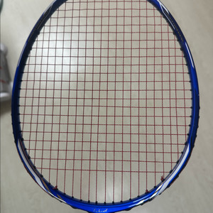 테크니스트 배드민턴 라켓
