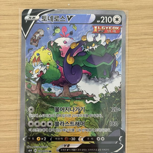 포켓몬카드 토네로스 v 특일 이미지