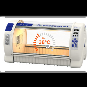 반려동물 호흡치료방