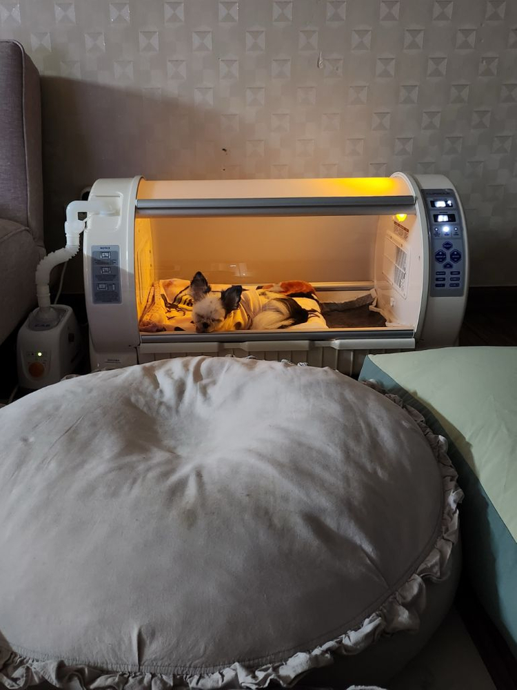 반려동물 호흡치료방--3