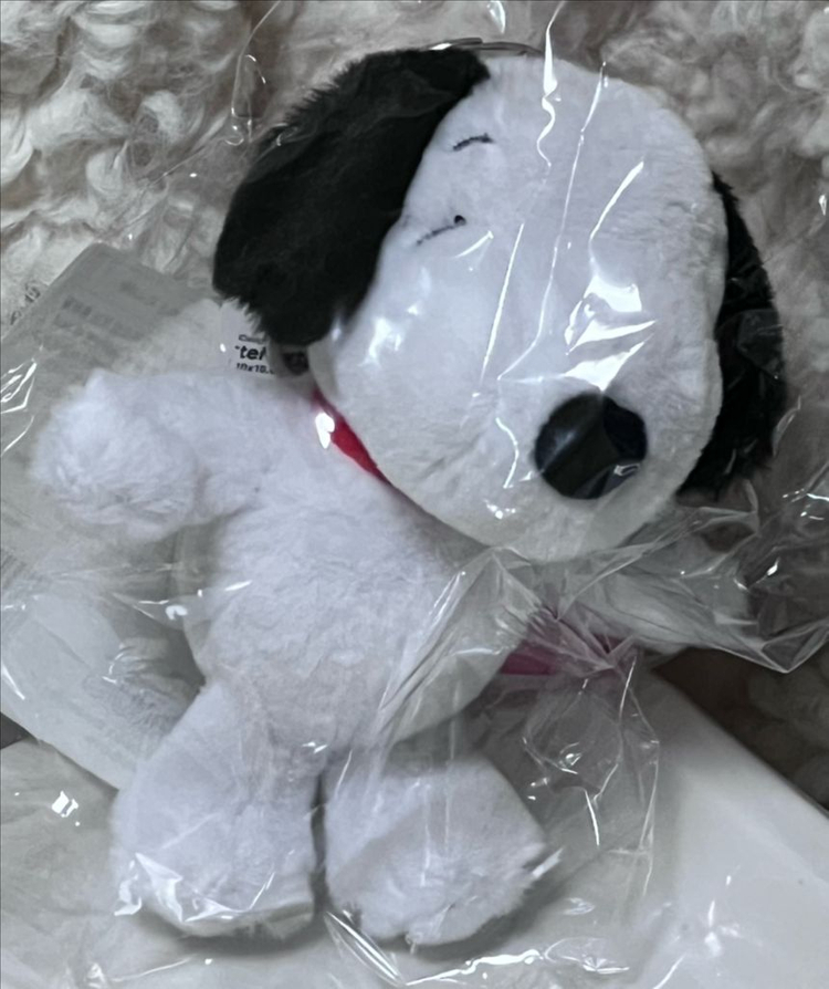 피너츠 스누피 인형 키링--1