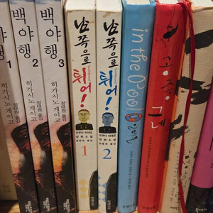 일본소설 (오쿠다 히데오, 마돈나걸공중그네면장선거 4권남음) 이미지