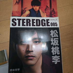 일본 연예인 화보집 및 스테디지 잡지