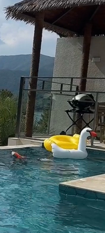 아기 튜브 일괄 4개--4