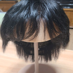 박승철 위그 스투디오 인모 흑발 가발M 이미지