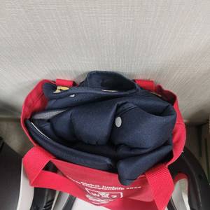 싸이벡스 주니어 유아용 카시트