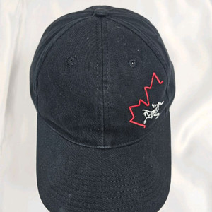 아크테릭스모자