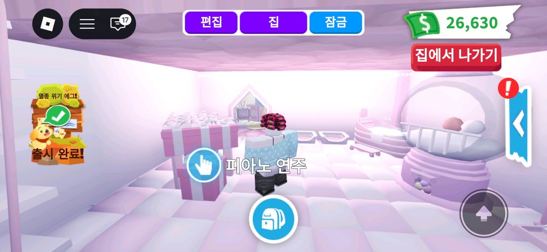 입양하세요 키티집 이미지